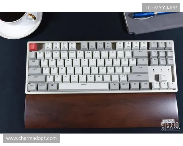 K8手机官方最新版本下载与安装指南，确保您的设备安全稳定运行